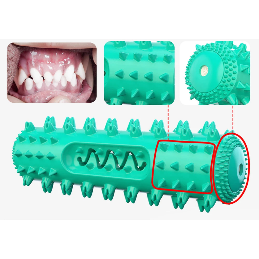 Brosse à dents interactive pour chien