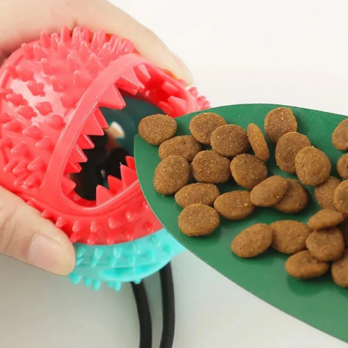 Balle interactive multifonctions pour chien