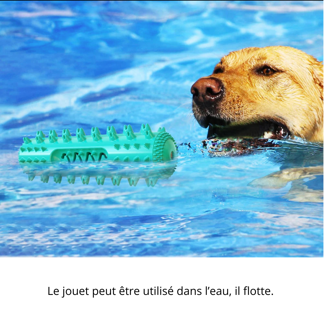 Brosse à dents interactive pour chien