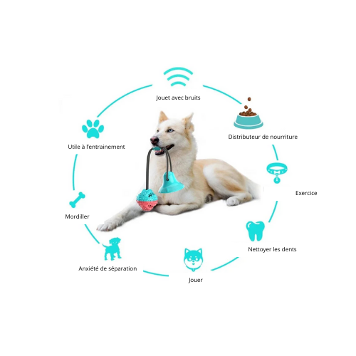 Balle interactive multifonctions pour chien
