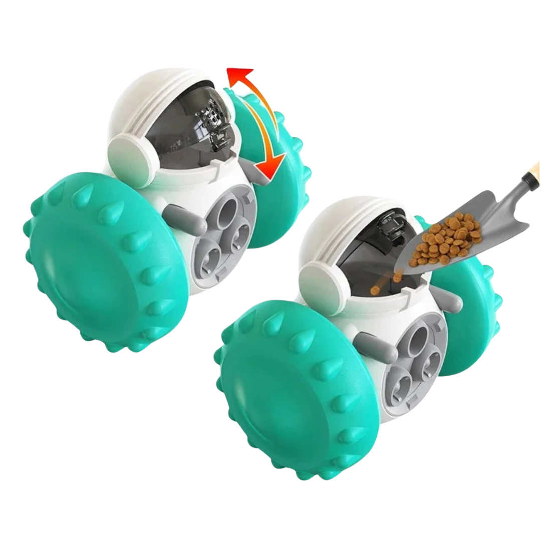 Robot distributeur de croquettes