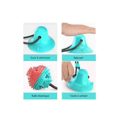 Balle interactive multifonctions pour chien