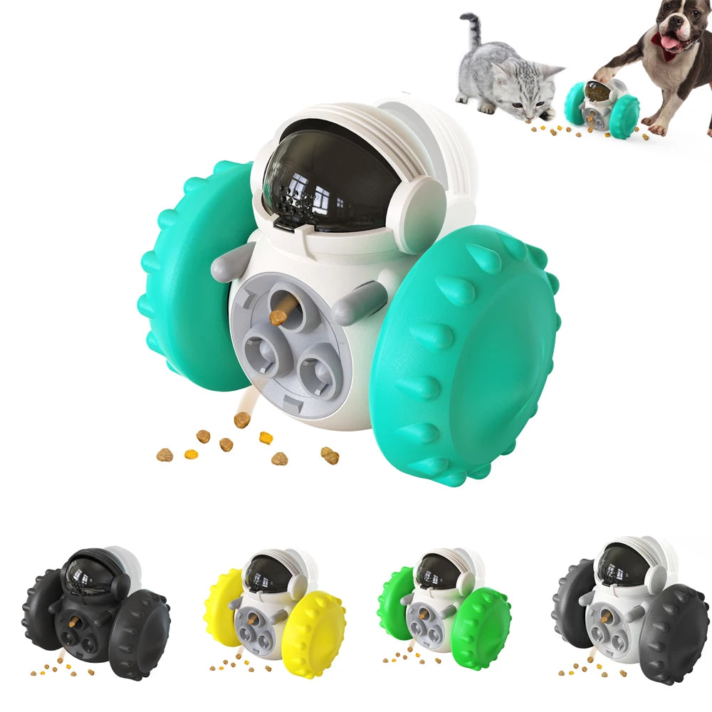 Robot distributeur de croquettes