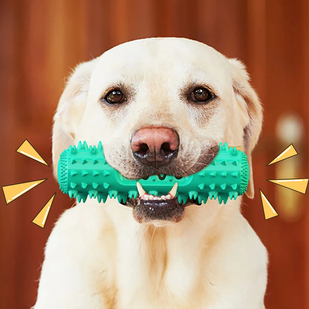 Brosse à dents interactive pour chien