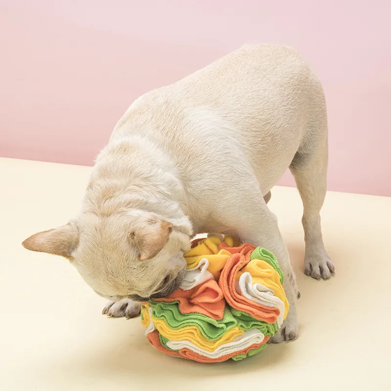 Balle en puzzle à renifler pour chien