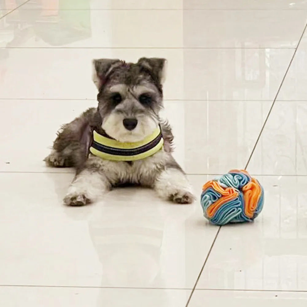 Balle en puzzle à renifler pour chien