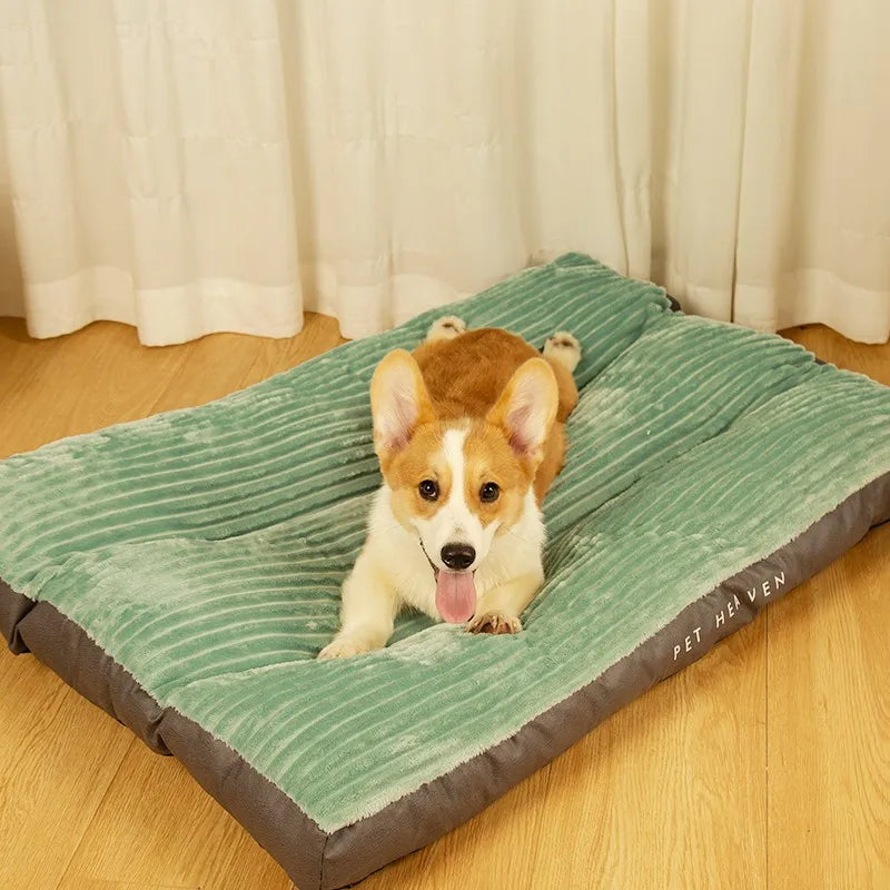 Matelas pour chien
