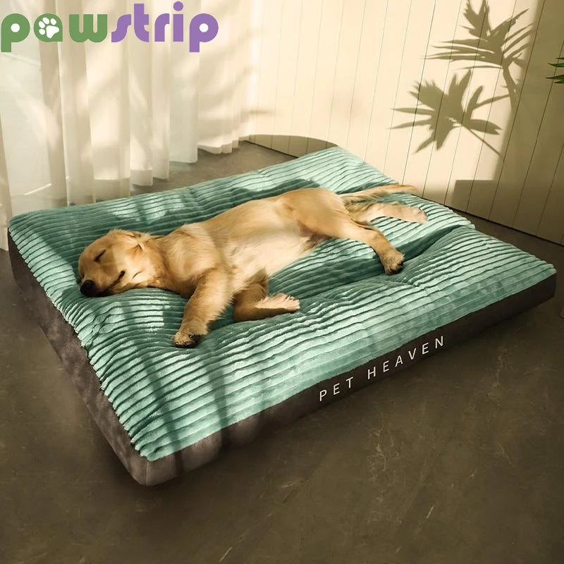 Matelas pour chien