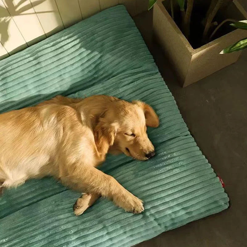 Matelas pour chien