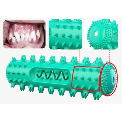 Brosse à dents interactive pour chien