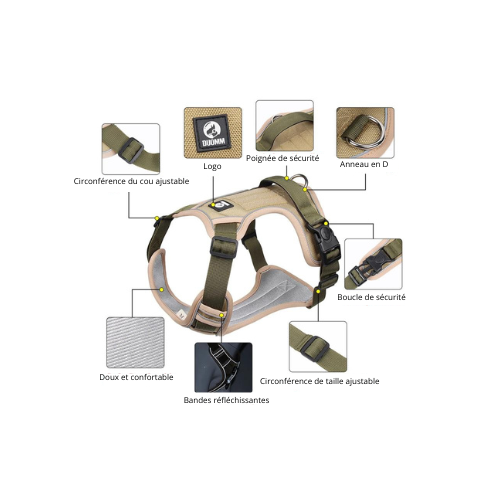 Harnais ajustable pour chien avec bandes réfléchissantes