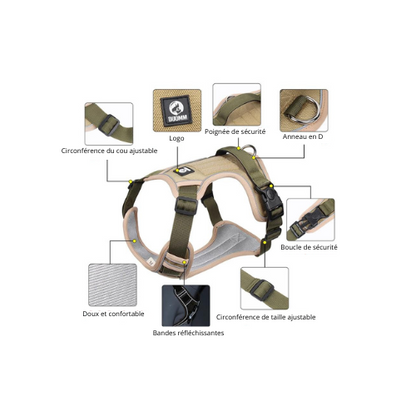 Harnais ajustable pour chien avec bandes réfléchissantes