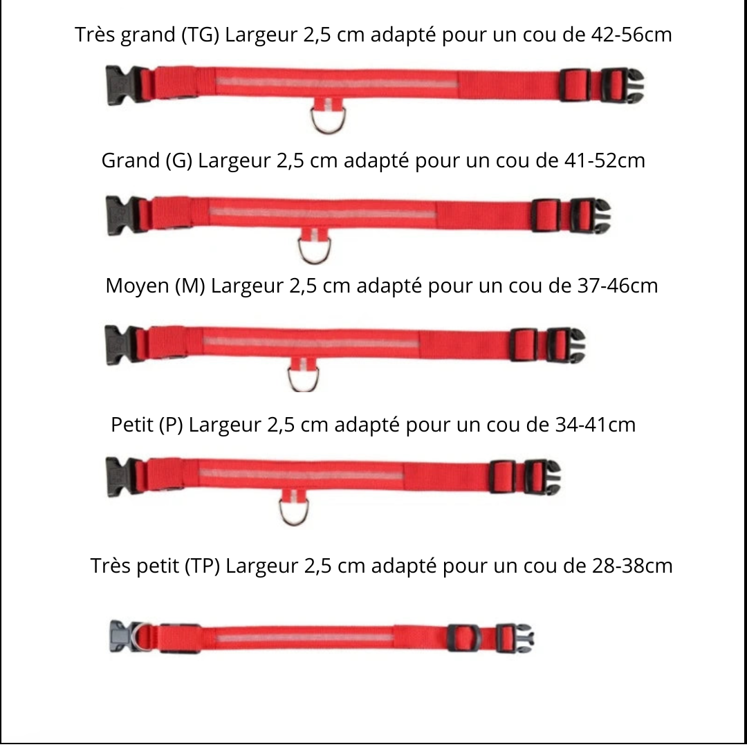 Collier pour chien en nylon avec LED de sécurité clignotant dans l'obscurité