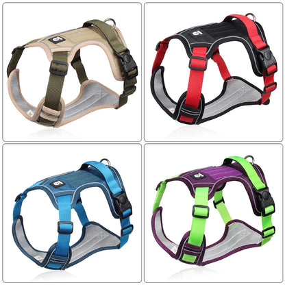 Harnais ajustable pour chien avec bandes réfléchissantes