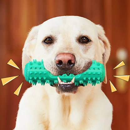 Brosse à dents interactive pour chien