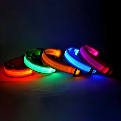 Collier pour chien en nylon avec LED de sécurité clignotant dans l'obscurité