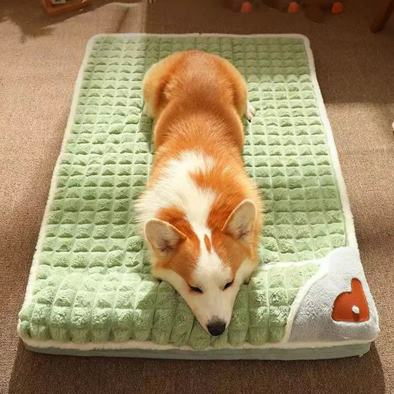 Luxueux matelas pour chien