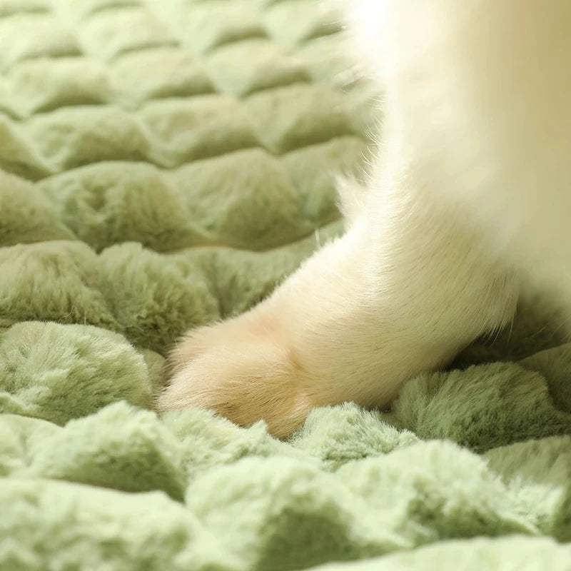 Luxueux matelas pour chien