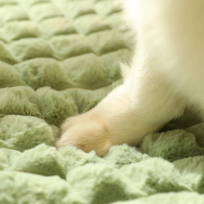 Luxueux matelas pour chien