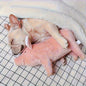 Douce peluche en cochon