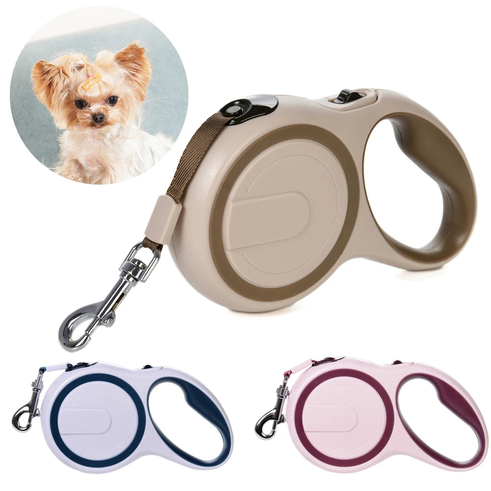 Laisse pour chien rétractable