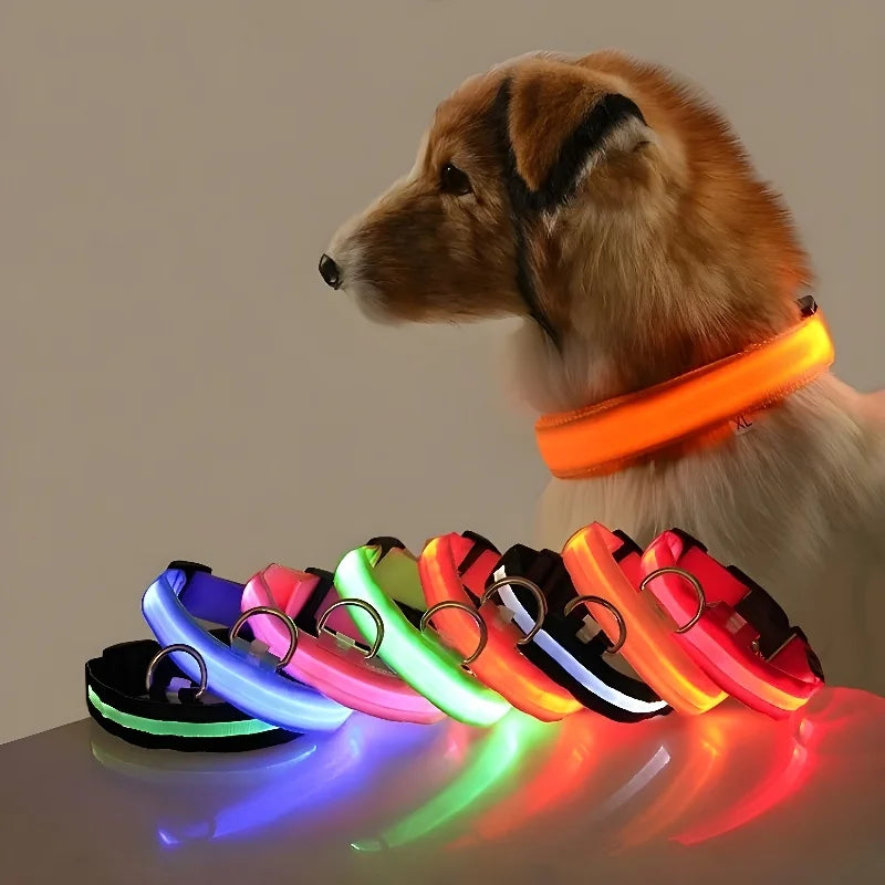 Collier pour chien en nylon avec LED de sécurité clignotant dans l'obscurité